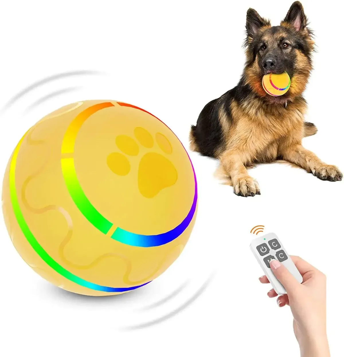 dog holding the remote control rolling ball