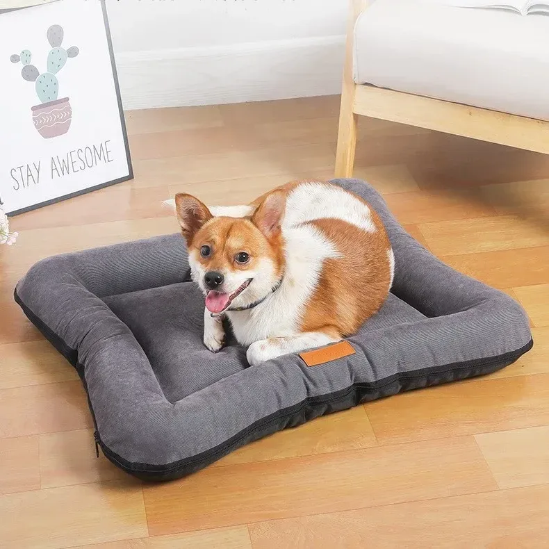 dog resting on the bolster travel bed