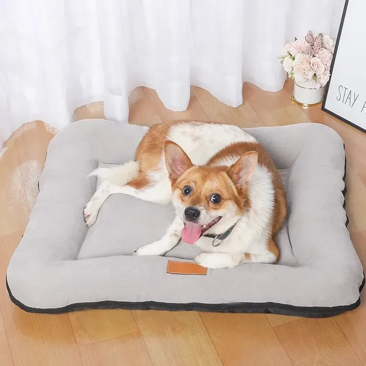 small dog on the foldable travel bed