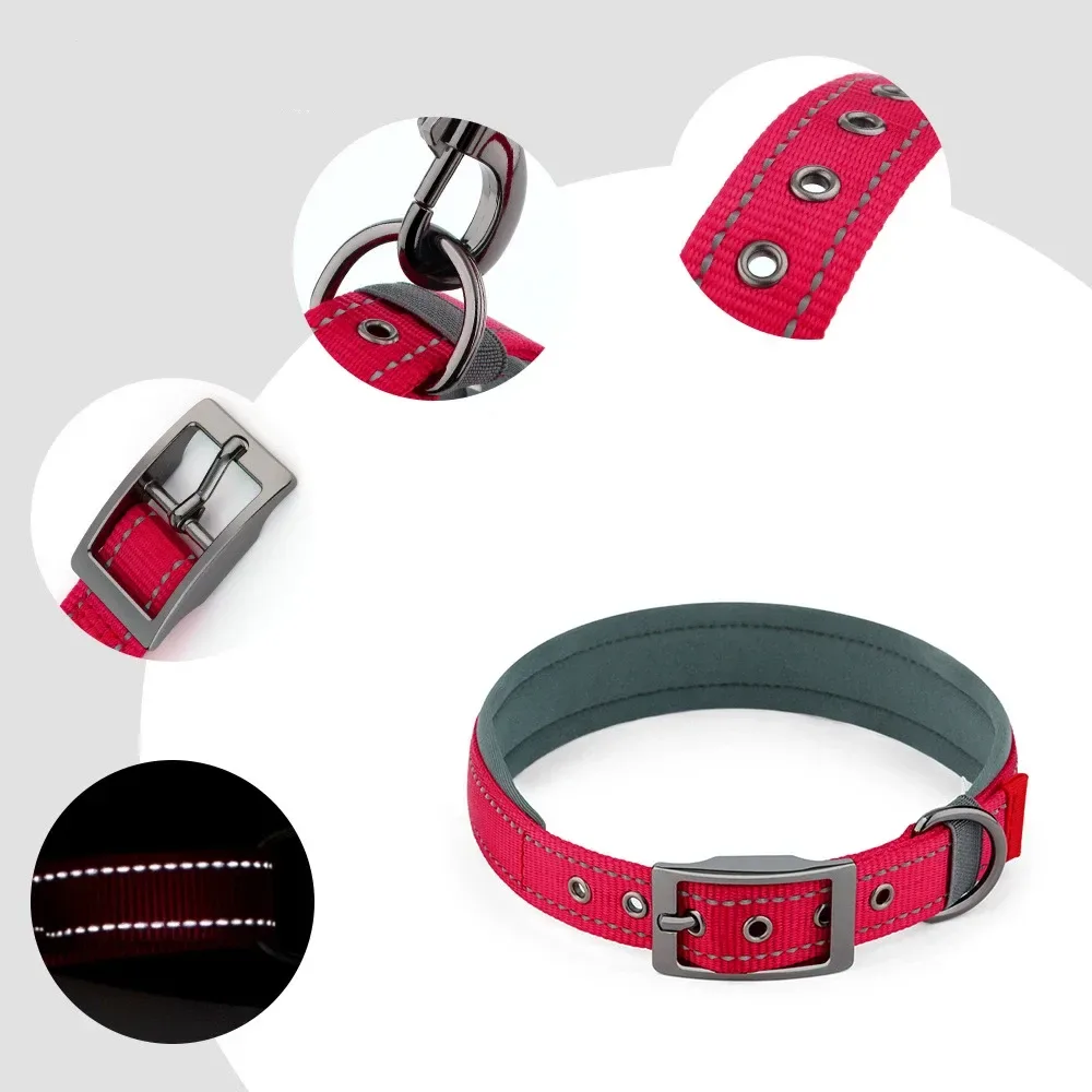 details of the padded reflective dog collar: buckle, D ring, eyelets, reflective stitching