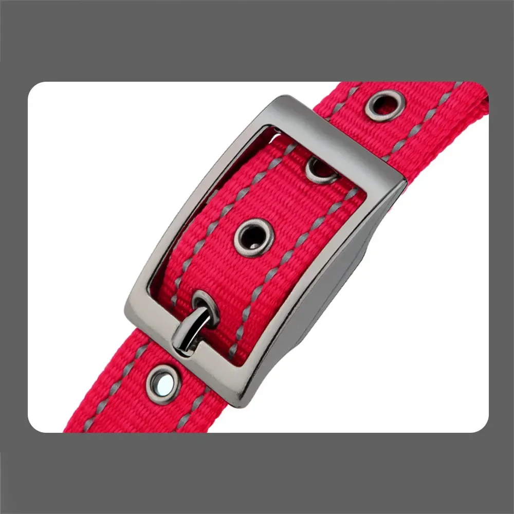 metal pin buckle of the padded reflective dog collar