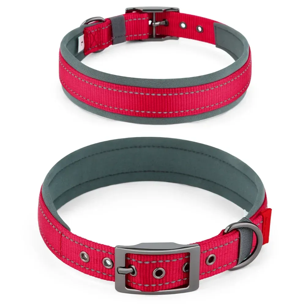 neoprene padded lining of the reflective dog collar
