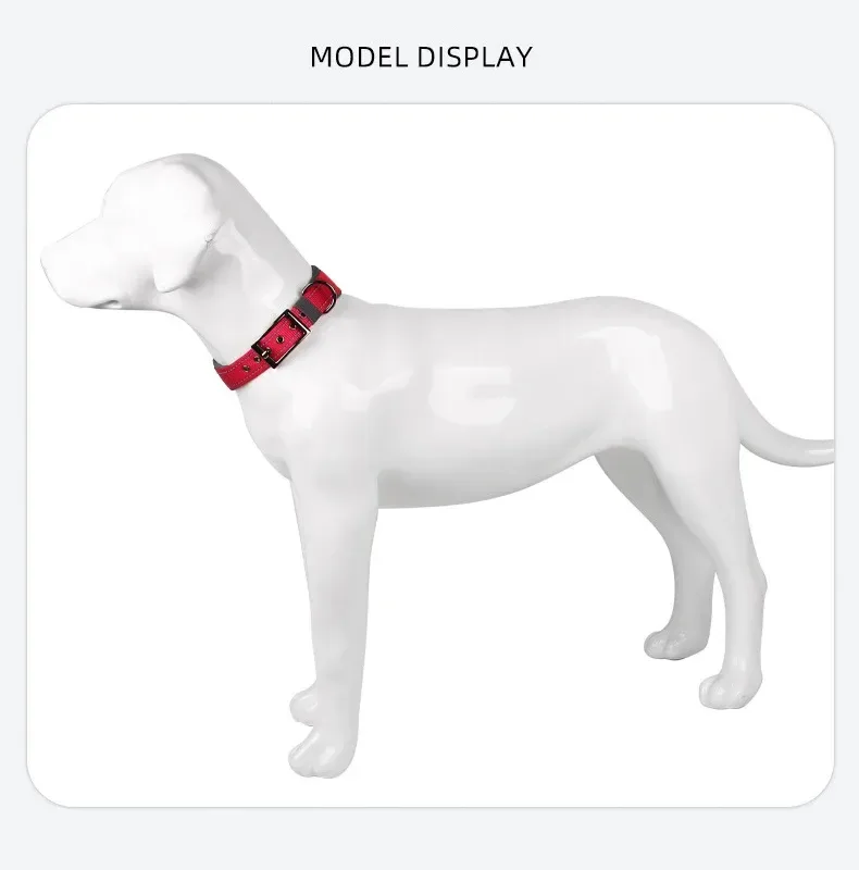 padded reflective dog collar worn on a dog model