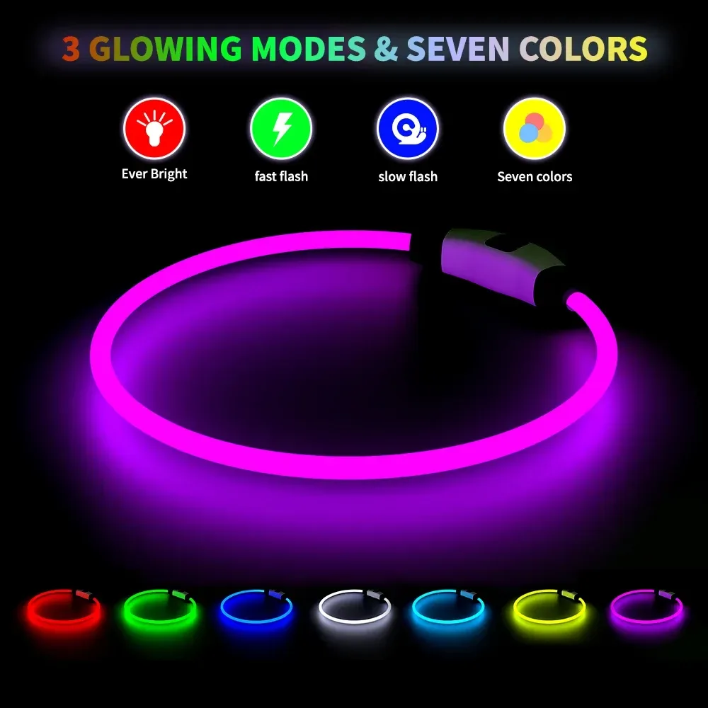LED dog collar light modes: always on, fast flash, slow flash, color cycle