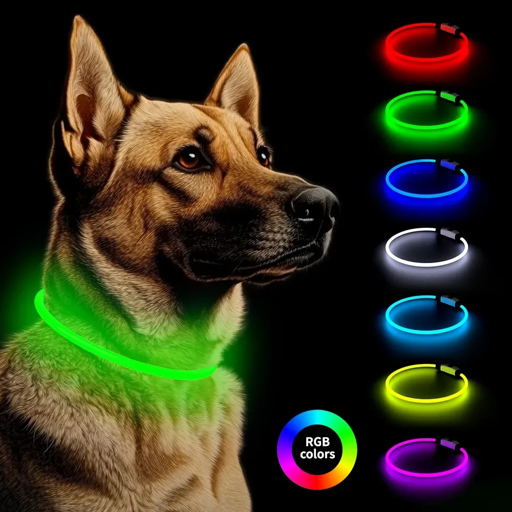 dog wearing a glowing LED dog collar at night