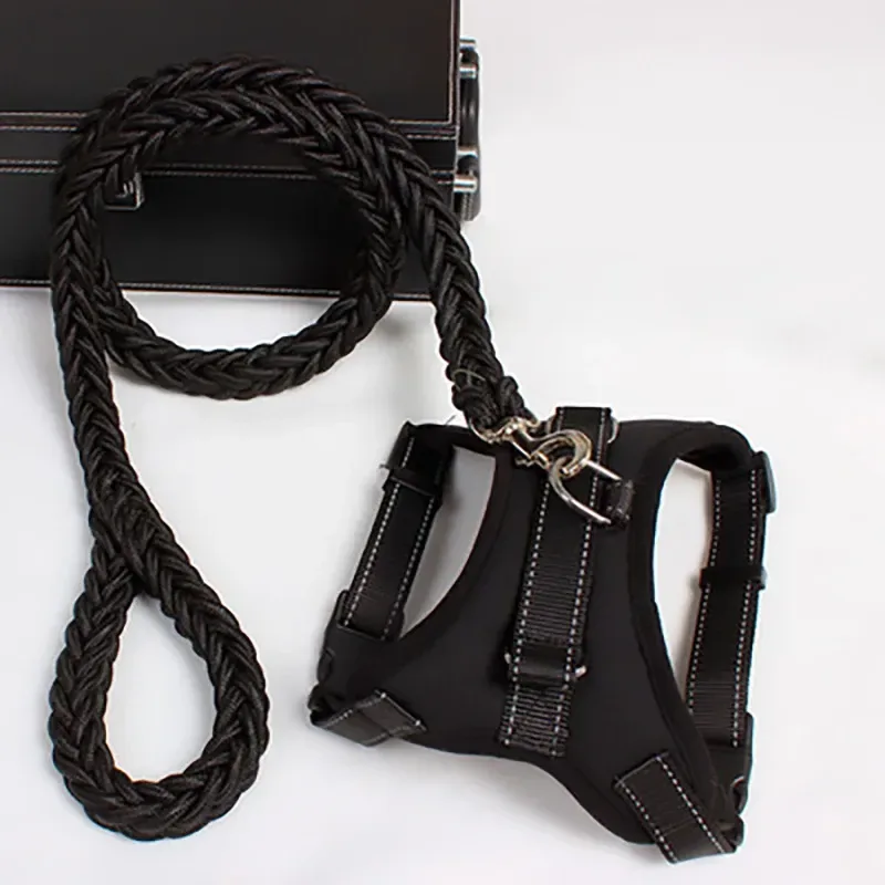 thick braided rope leash clipped to the black harness