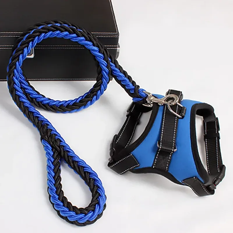 top handle and back ring of the blue dog harness