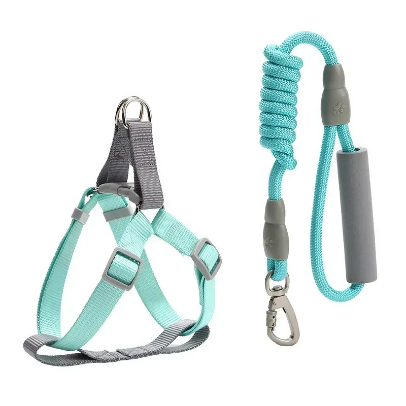 mint green pastel dog harness and rope leash set