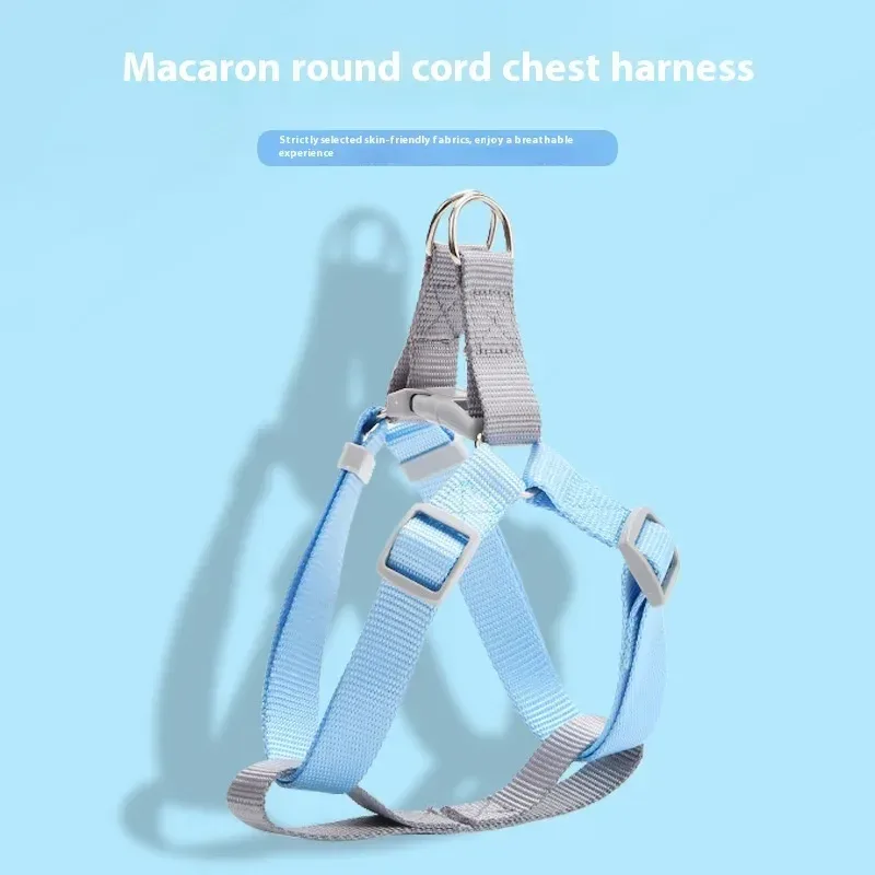 sky blue pastel dog harness with metal back ring