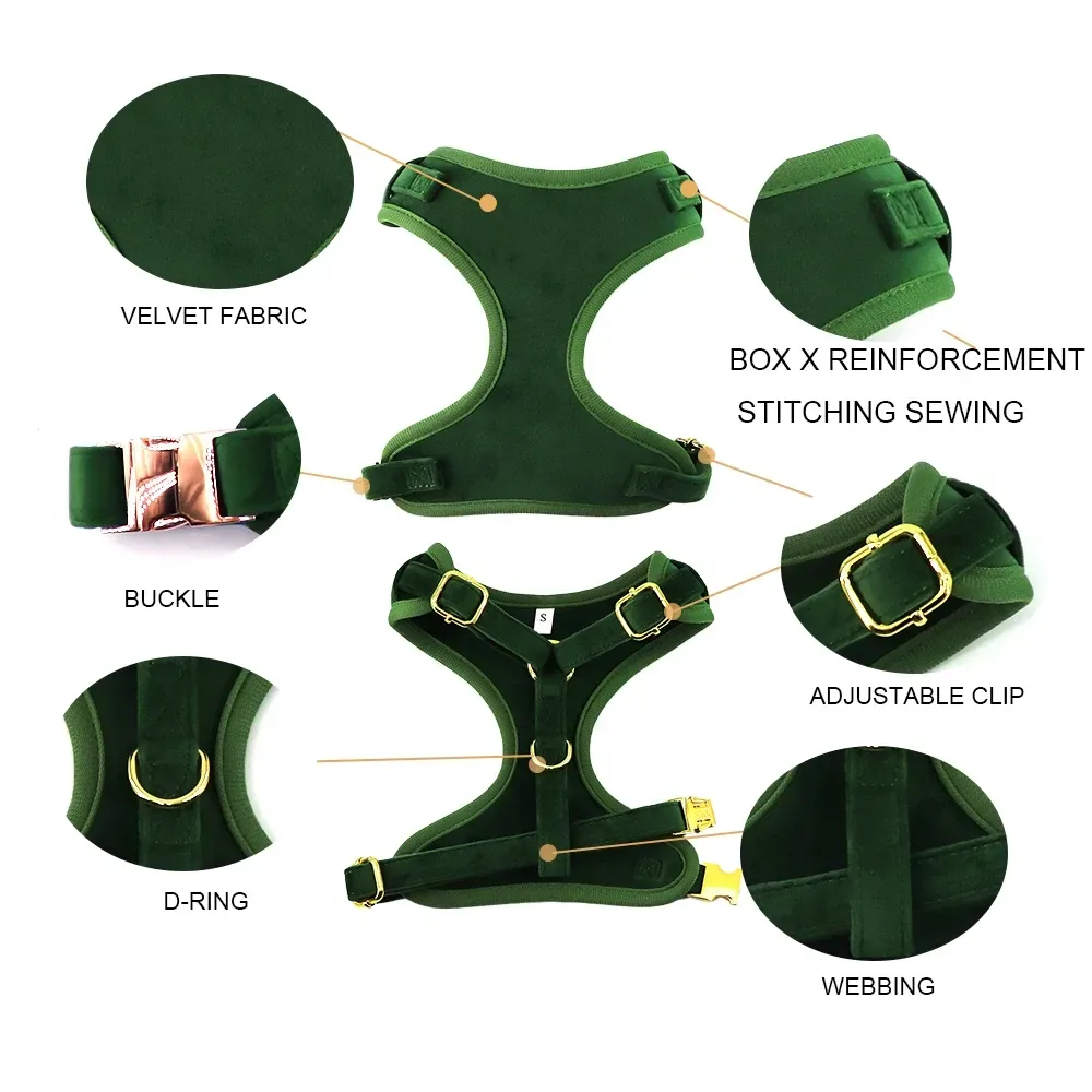 details of the velvet dog harness: velvet fabric, box X stitching, buckle, adjustable clip, D ring