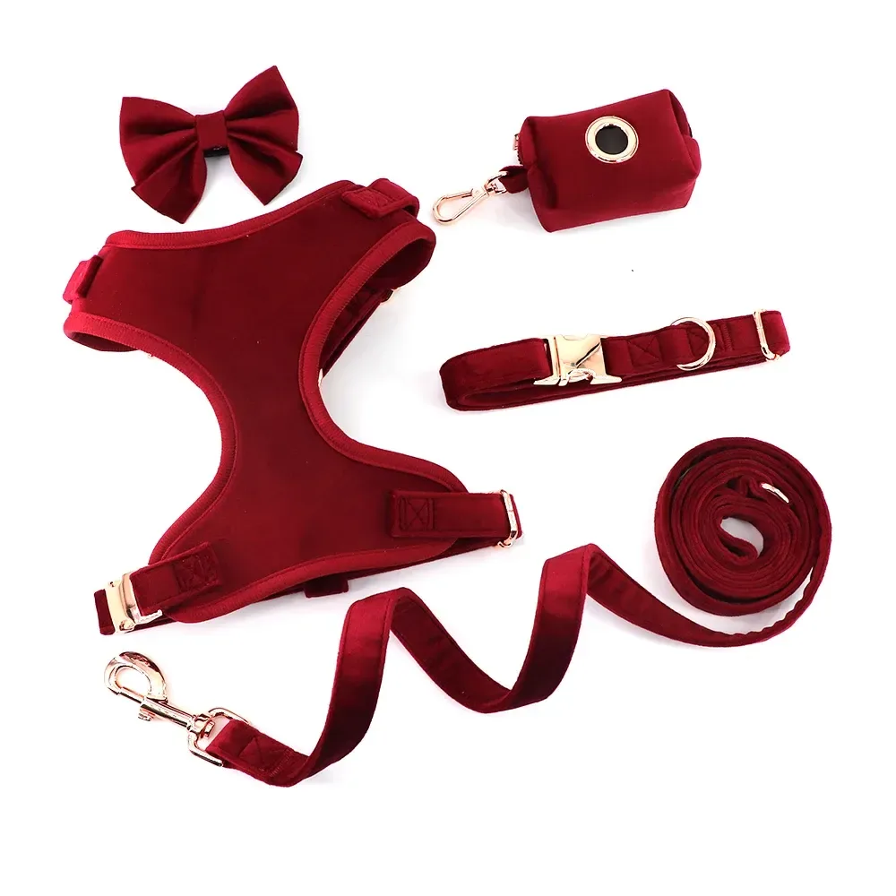 the five pieces of the velvet dog harness set