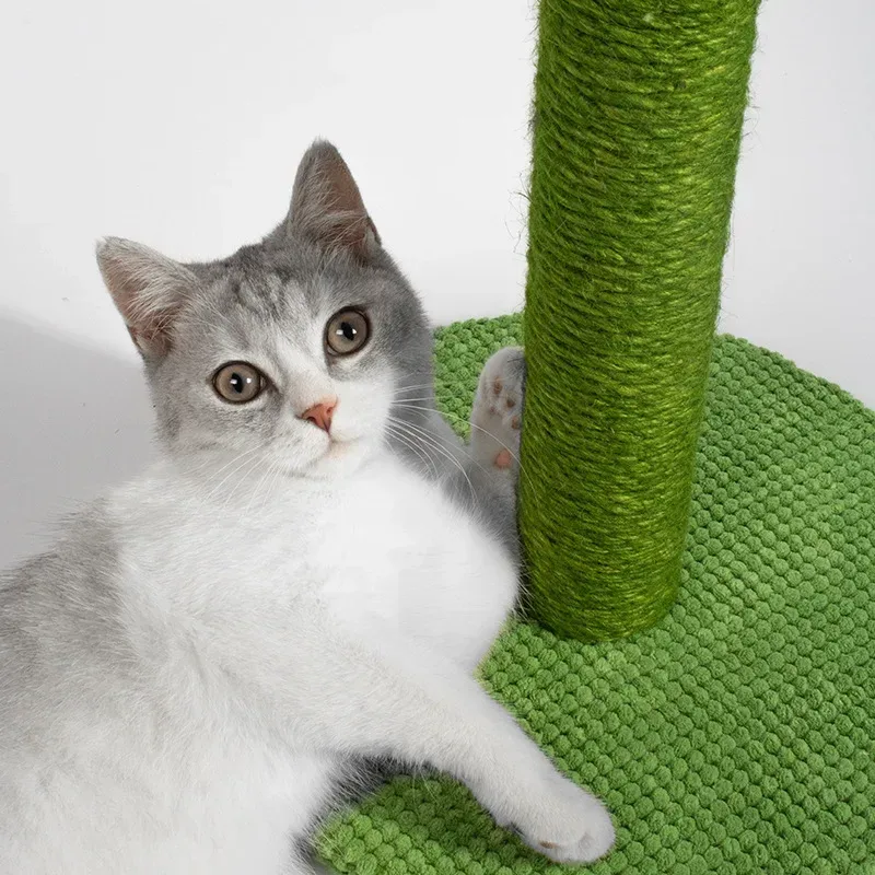 round plush base of the cactus scratching post