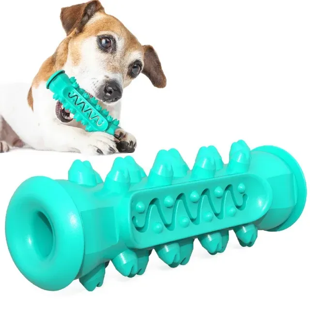 teal rubber toothbrush chew stick