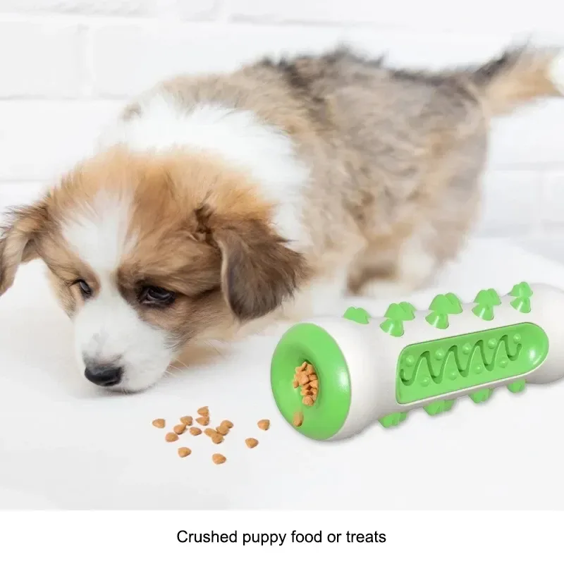 puppy with the chew stick filled with crushed treats