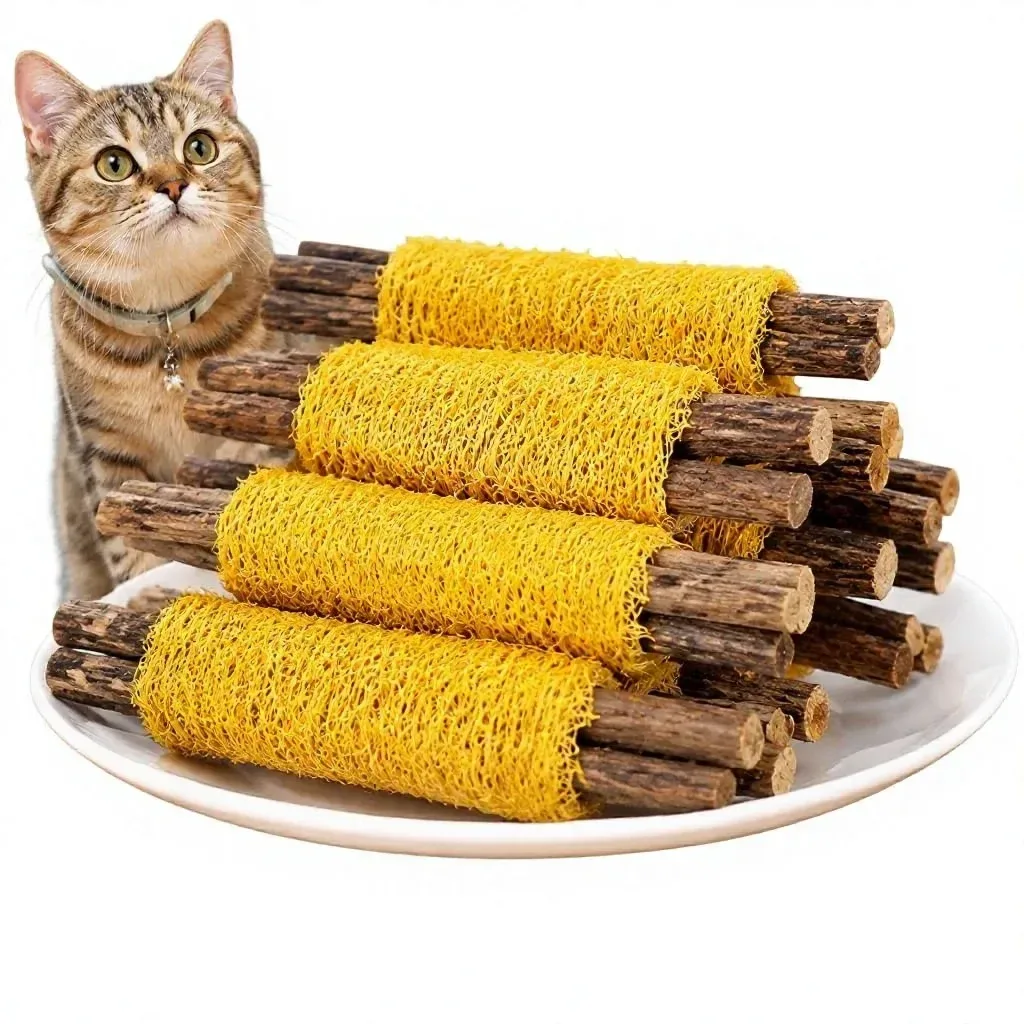 cat looking at silvervine chew sticks