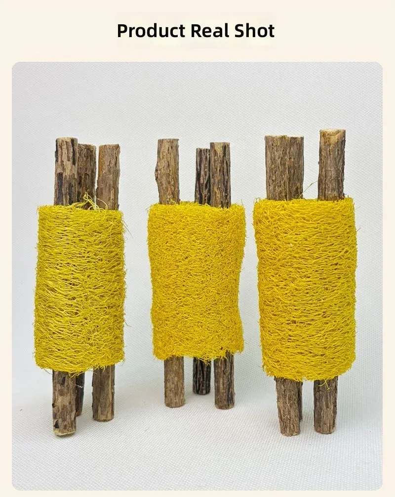 real photo of silvervine loofah chew sticks