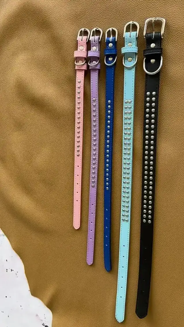 studded dog collars in single and double row sizes