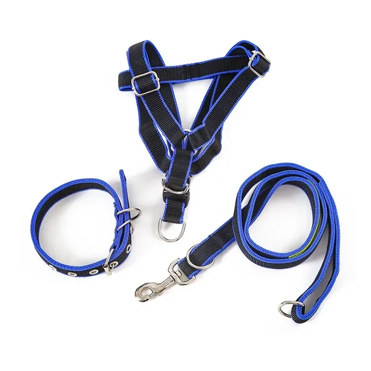 adjustable metal buckles on the black and blue dog harness