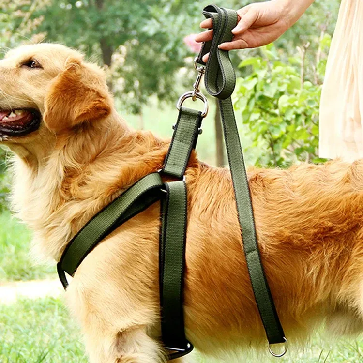 hand loop of the nylon dog leash in use