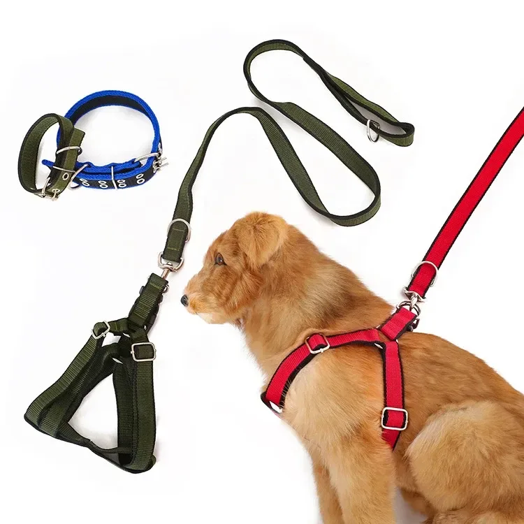 matching colors of the nylon dog harness, collar and leash set