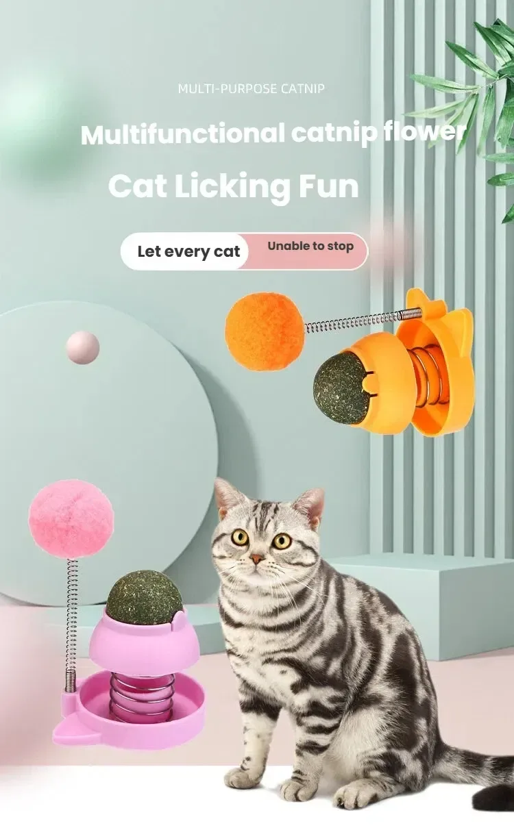 catnip ball cat toy mounted on a wall with a cat nearby