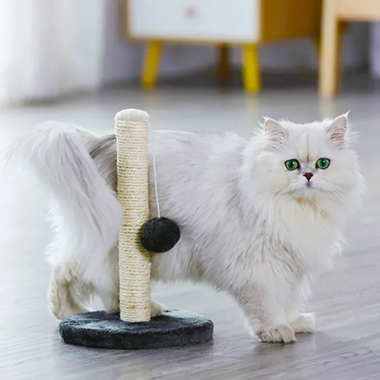 cat standing beside a sisal post with a hanging pom pom