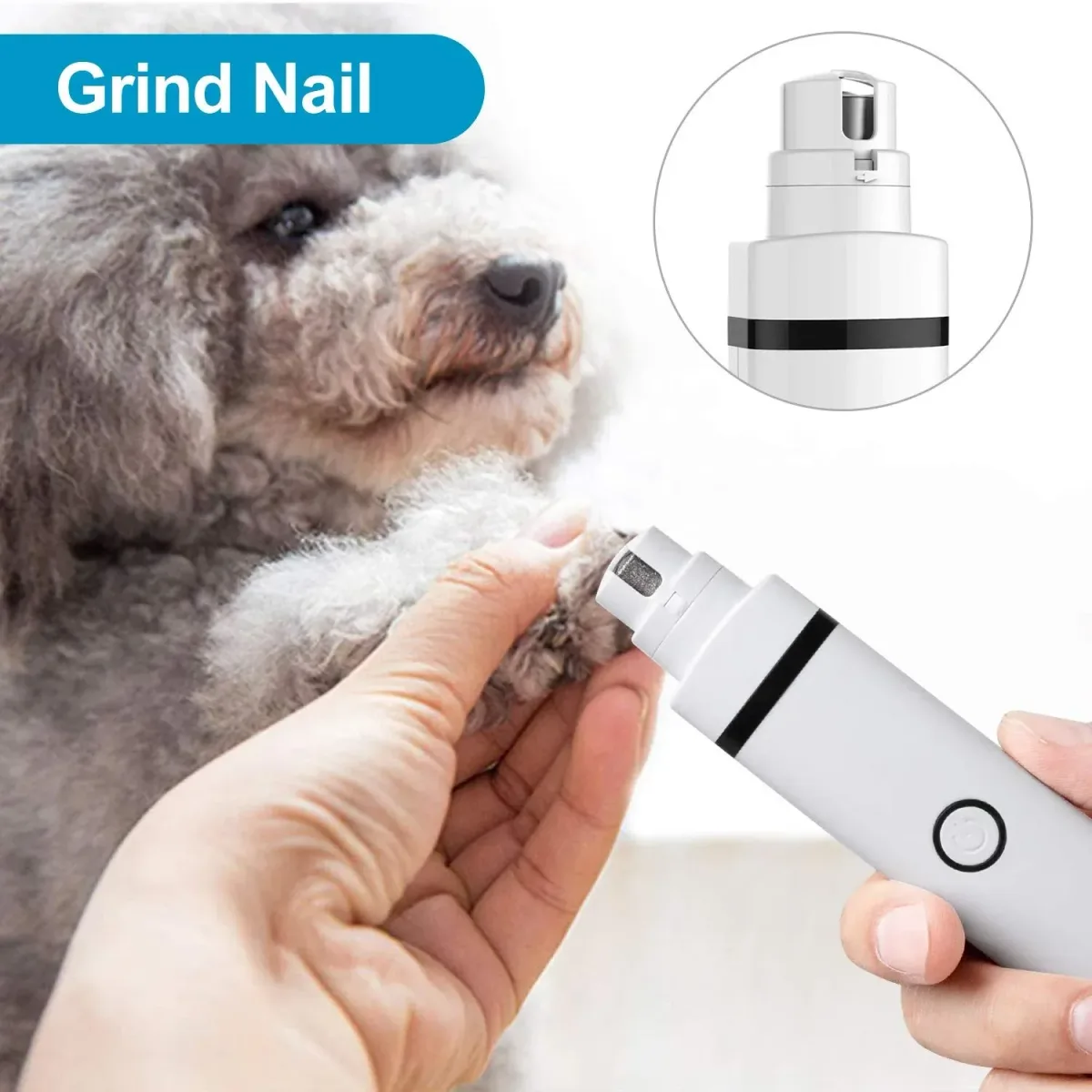 rotating nail grinder head on a poodle's paw