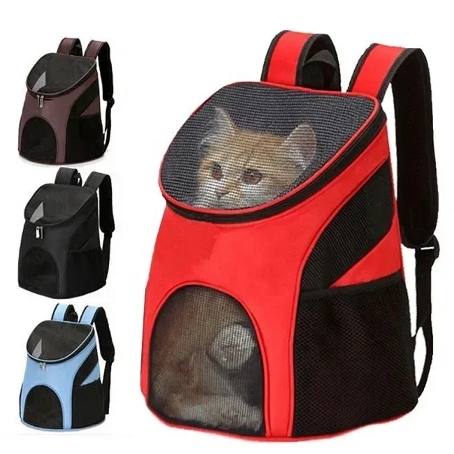 cat riding in a mesh pet backpack
