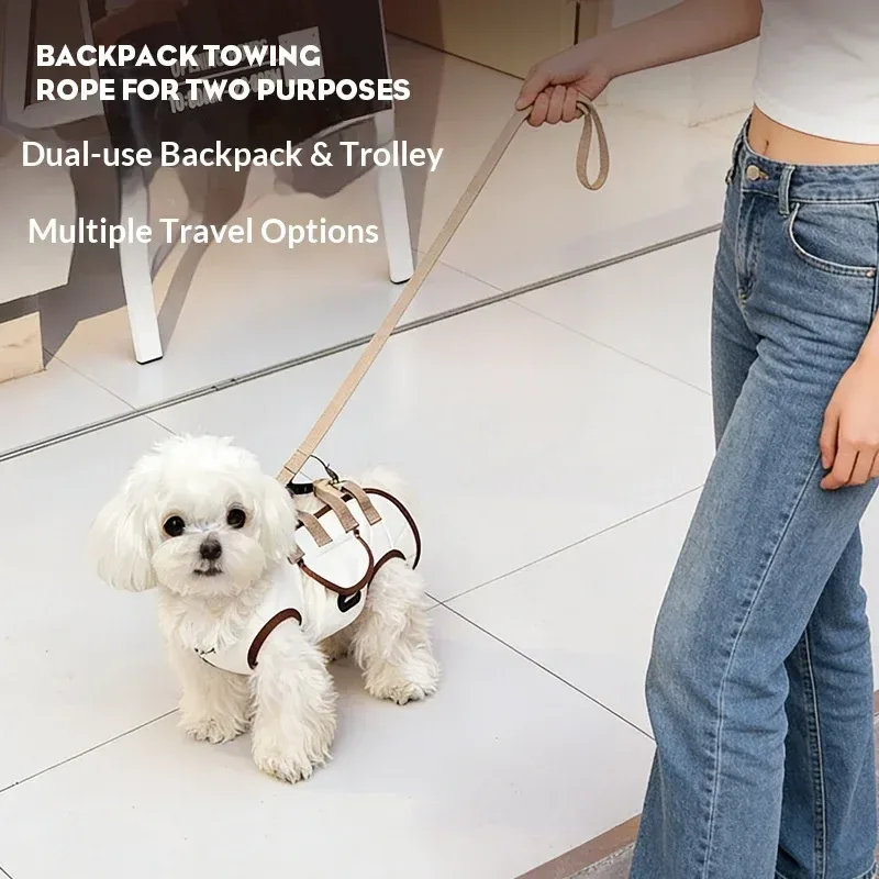 dog walking with the sling carrier and leash