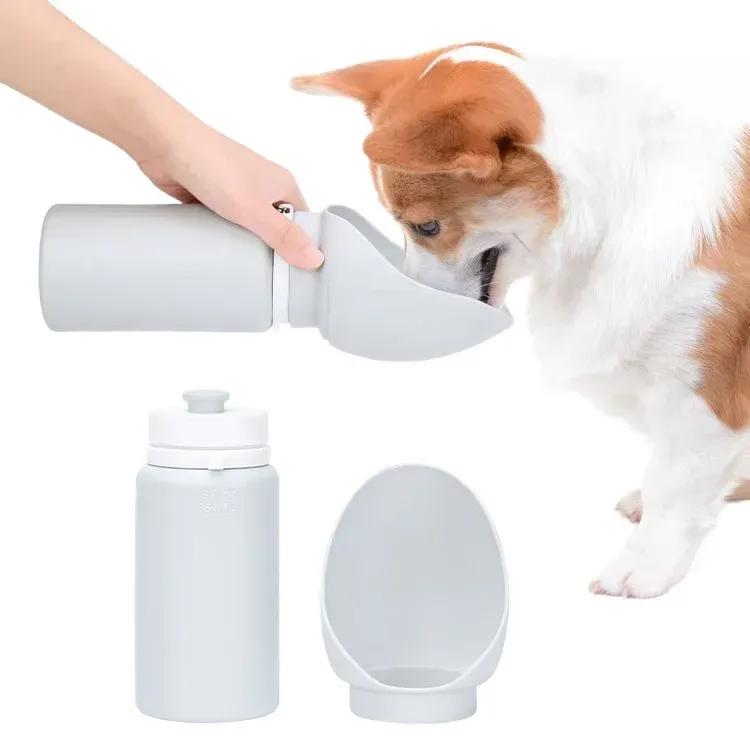 dog drinking from the bottle on a walk