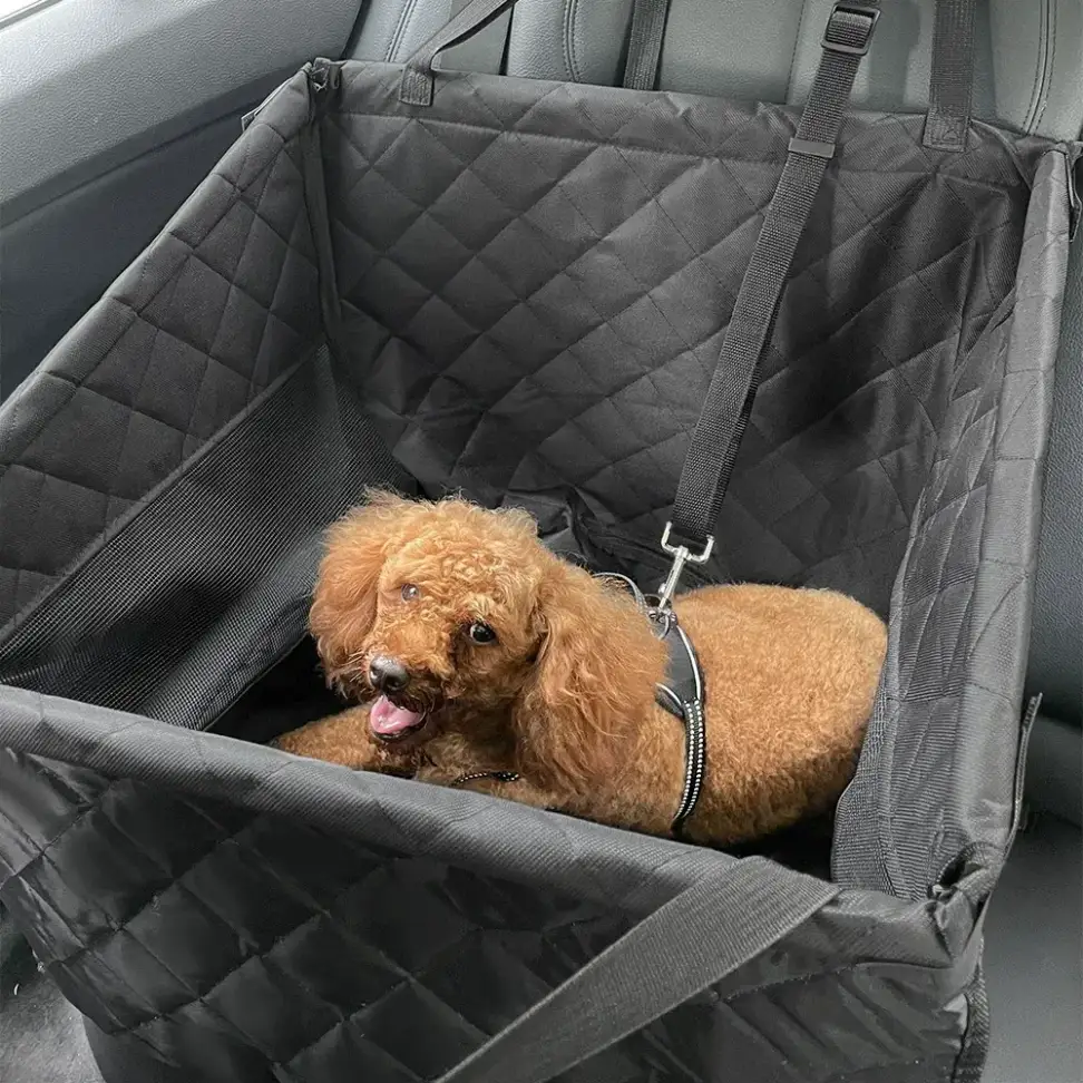 booster seat hanging from the car headrest